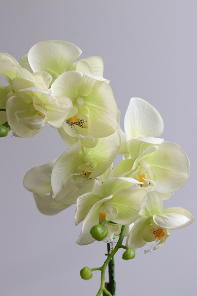 Arabesca, zielony sztuczny storczyk w ażurowej donicy