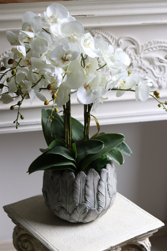 Pióra, storczyk w ceramicznej misie