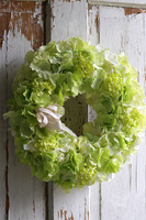 Greenua, wianek z zielonych hortensji na drzwi