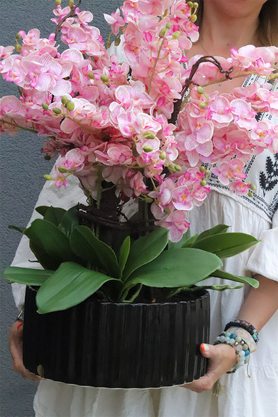 Neyre Pink, sztuczny storczyk w czarnej misie