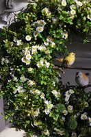 Ptaszki na Gałęzi 3, wiosenny wianek dekoracyjny