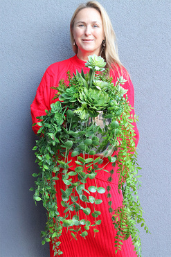 Green Evo, kompozycja sukulenty w lustrzanej donicy, wym.40x34cm 