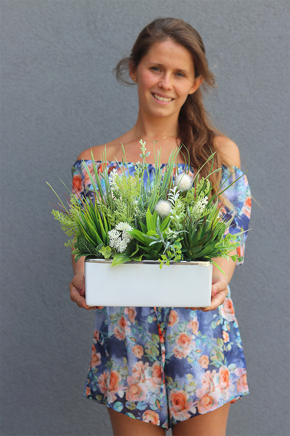 Jedyta, kompozycja z sukulentami w donicy glamour