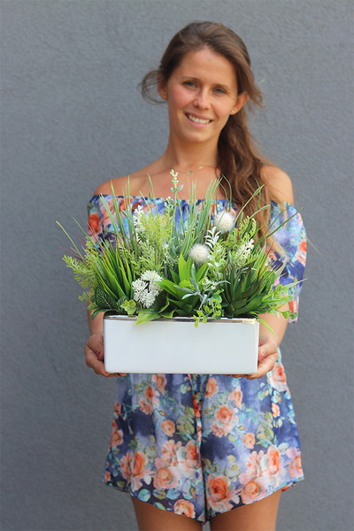 Jedyta, kompozycja z sukulentami w donicy glamour