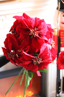 Gwiazda Betlejemska, bukiet kwiatów