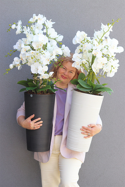 Genova sztuczny storczyk w wysokiej donicy