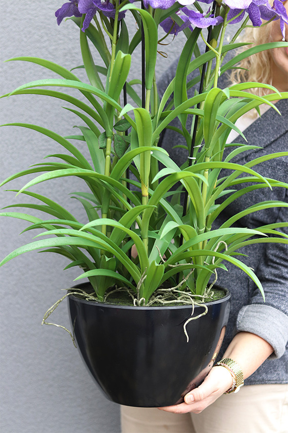 Ambasador Fiolet, duży sztuczny storczyk