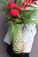 Strelicja Nedila Red, kompozycja w wysokim wazonie