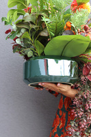 Ladies First Pumpkin B, jesienna kompozycja, wym.45x50cm