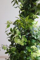 New Green Aguilera, drzewko sztuczne kolumnowe w donicy