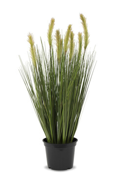 sztuczna trawa Simpli Kłosy, B, wys.75cm 