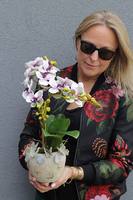 Butterfly Jardin 2, gumowy storczyk w ceramicznej osłonce