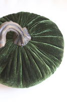 Dynia Veluria, dekoracyjna dynia pluszowa, zielona