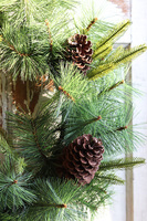 Zima w Lesie, zimowy wianek iglasty z szyszkami