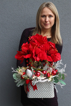 Amarylis Winter Premium 2, świąteczny stroik z czerwonym amarylisem, wys.47cm