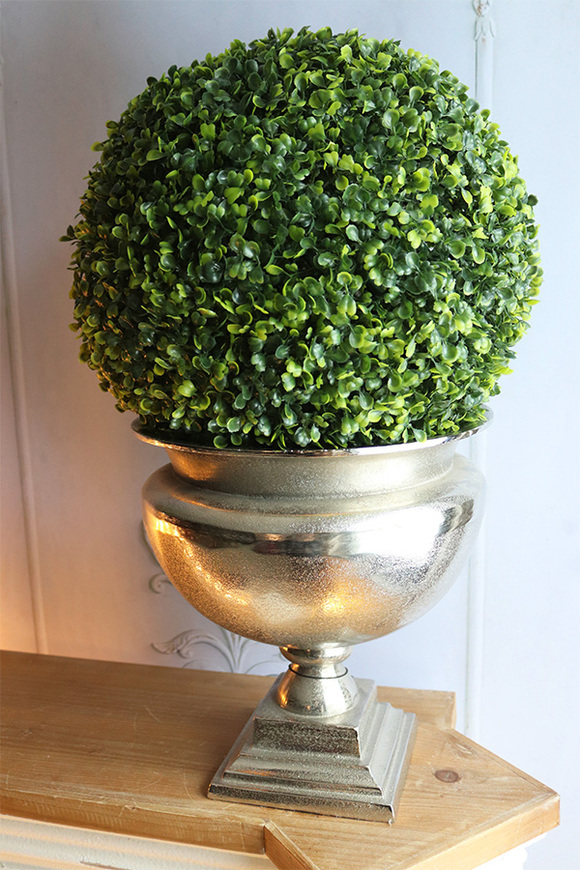 Palazzo Como Deluxe, kula bukszpan w pucharze