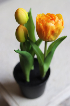 kompozycja z gumowych tulipanów w doniczce, żółty, wys.21cm