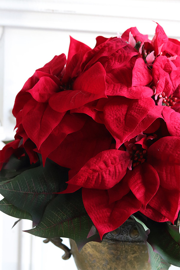 Gwiazda Betlejemska Puchariana, sztuczna roślina w donicy