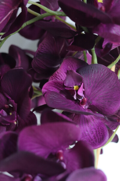 Purple Belia , fioletowy sztuczny storczyk w donicy