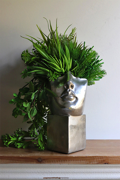 Suculentas Espana C, sukulenty w głowie kompozycja, wys.42cm