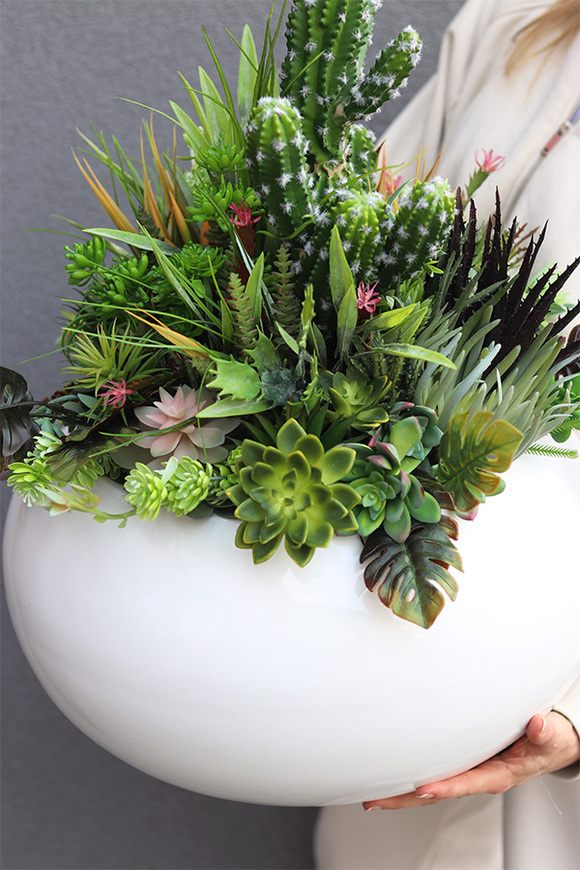 Esperanza Cacti 3 Fiberglass, sukulenty z kaktusem w białej donicy