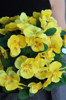 Bratki Yellow, żółte bratki w naczyniu