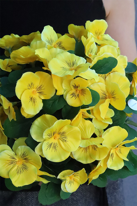 Bratki Yellow, żółte bratki w naczyniu