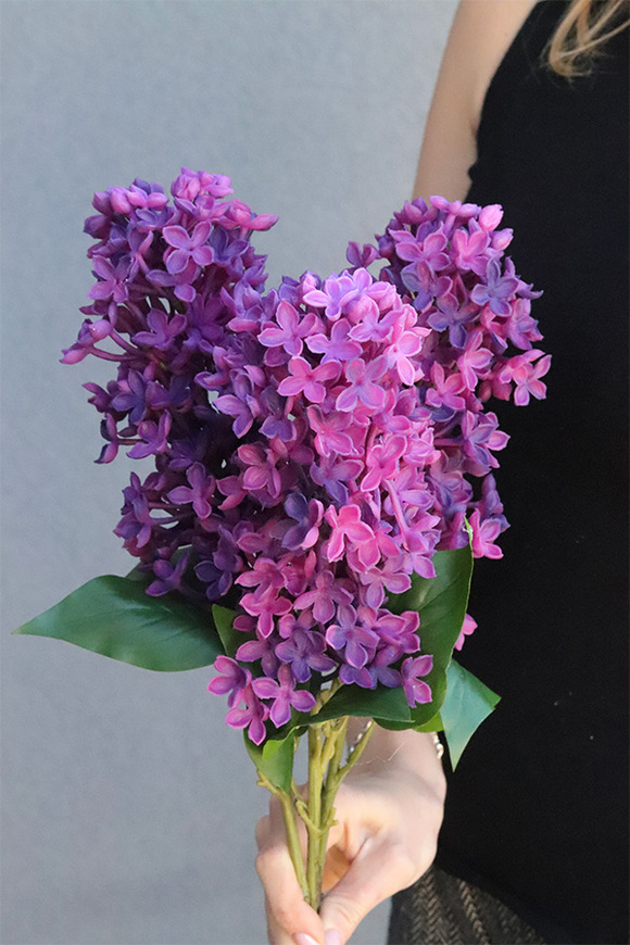 Bzy Deluxe Premium, gumowy bez kwitnący lilak, wiśniowy fiolet