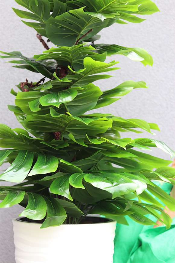 Monstera Gizelle, drzewko sztuczne w donicy