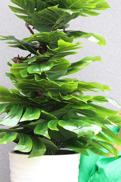 Monstera Gizelle, drzewko sztuczne w donicy