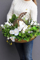 Goldenito Dekoria 2, kompozycja ze storczykiem w złotej misie