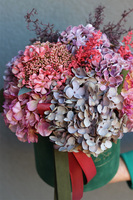 Jesienna Hortensja, jesienny flowerbox