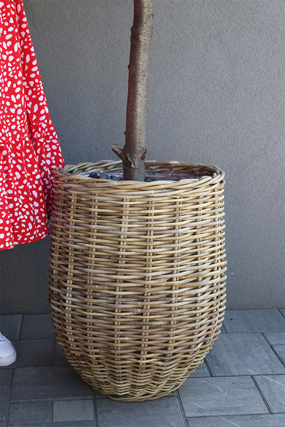 Mandarynka Basket, sztuczne drzewko owocowe w koszu