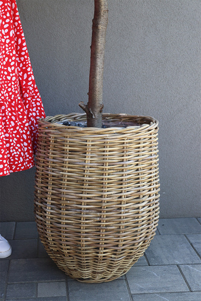 Mandarynka Basket, sztuczne drzewko owocowe w koszu