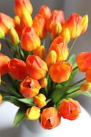 Sunrise Tulips, bukiet kwiatów w wazonie