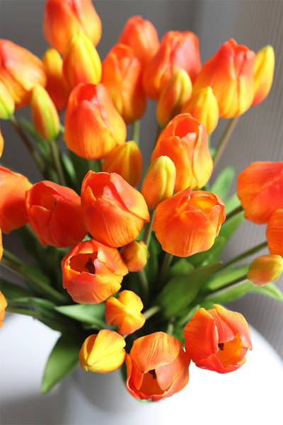 Sunrise Tulips, bukiet kwiatów w wazonie