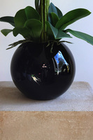 Globe, storczyk w czarnej donicy kuli