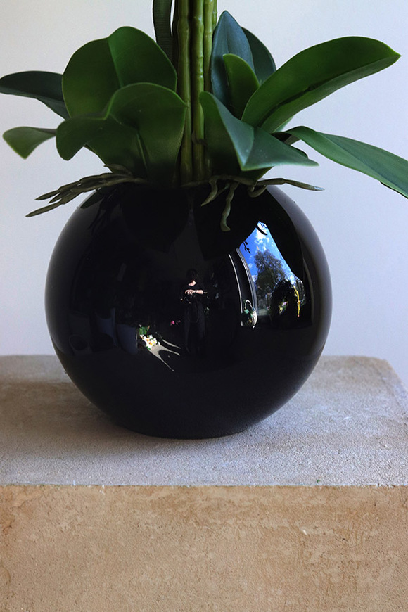 Globe, storczyk w czarnej donicy kuli