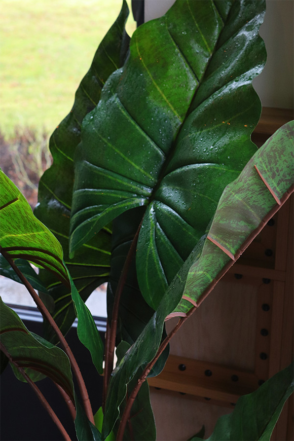 Alokazja Bellis, sztuczna roślina w donicy