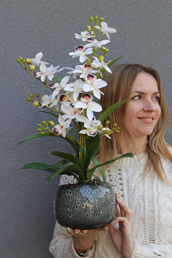 Etnicity, sztuczny storczyk w doniczce