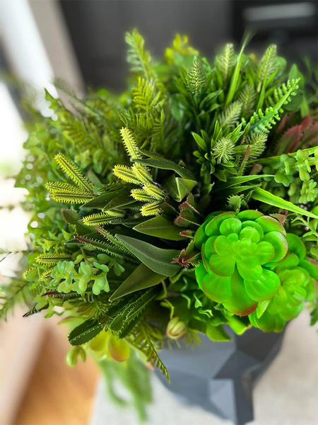 Adonis Head, nowoczesna dekoracja zielona w głowie