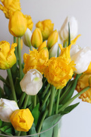 Glassier Tulips, wielkanocna kompozycja kwiatowa w szkle