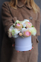 Helina Lucca, flowerbox z pełnikami