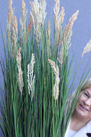 Klementa, nowoczesna kompozycja z trawami