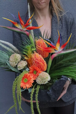 Amazonka Volcan, kompozycja nagrobna ze strelicją, wys.50cm