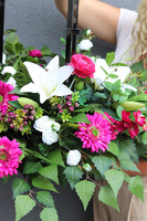 Angelo Garden Fiolet, dekoracja nagrobna z grafitowym lampionem