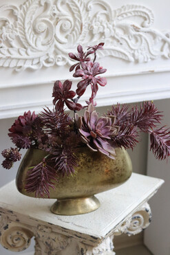 Olivina Kristi 3, kompozycja sukulenty w złotym pucharze, wys.39cm  