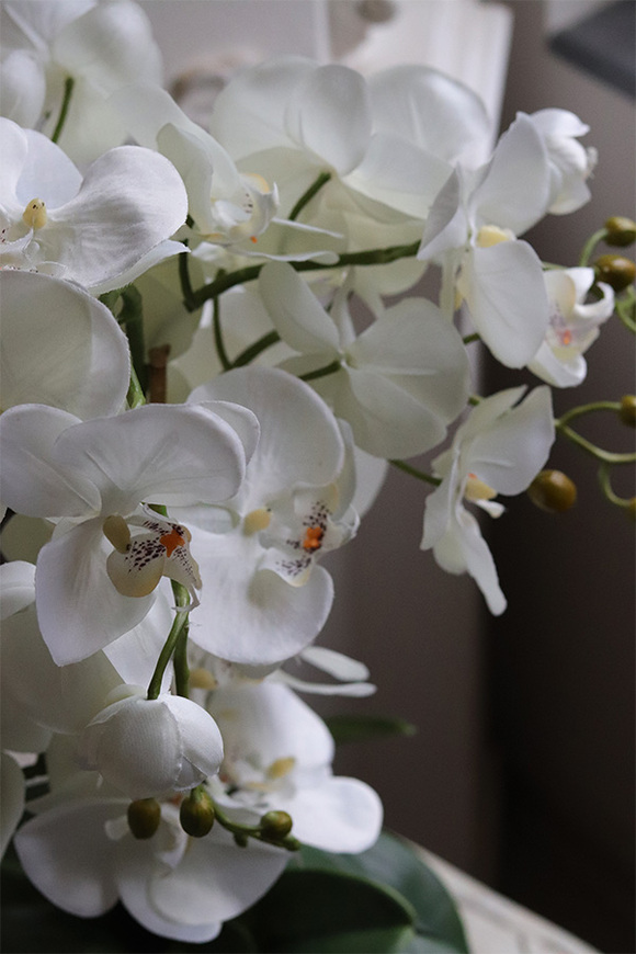 Black Decoris, sztuczny storczyk