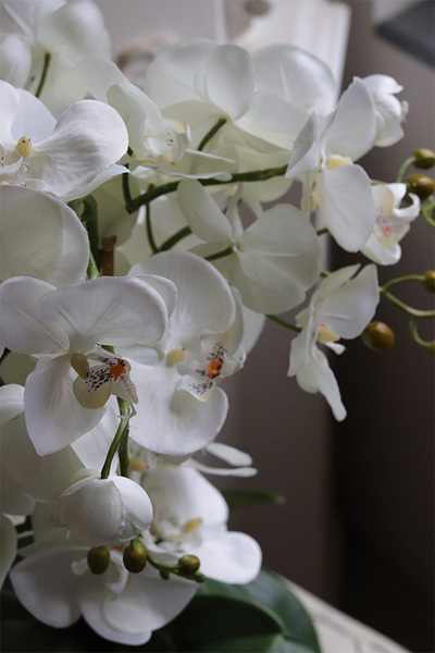 Black Decoris, sztuczny storczyk