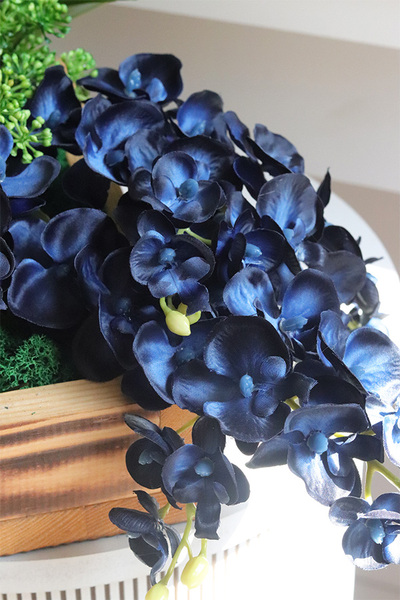 Dekoria Navy, granatowy storczyk w skrzynce